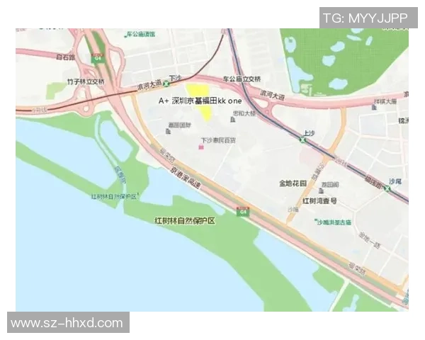 深圳乒乓球队实力深度解析与发展前景探讨